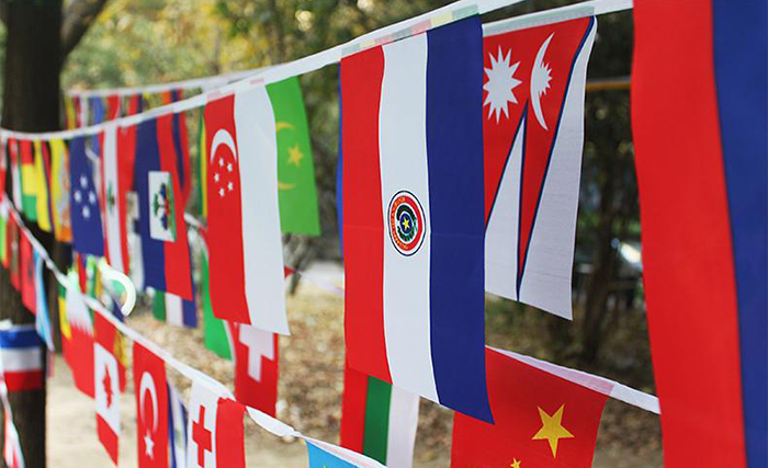 �pe Dizili �lke Bayraklar�