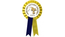 Rotary Kulubu Saten Yaka Kokarti