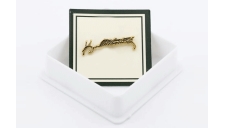 Altin Ataturk Rozeti